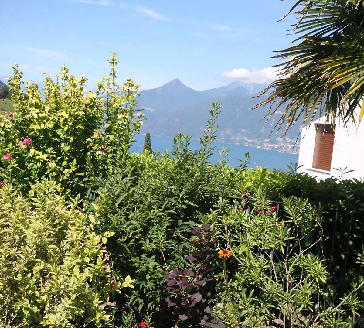 Balcone Fiorito Bed & Breakfast Menaggio