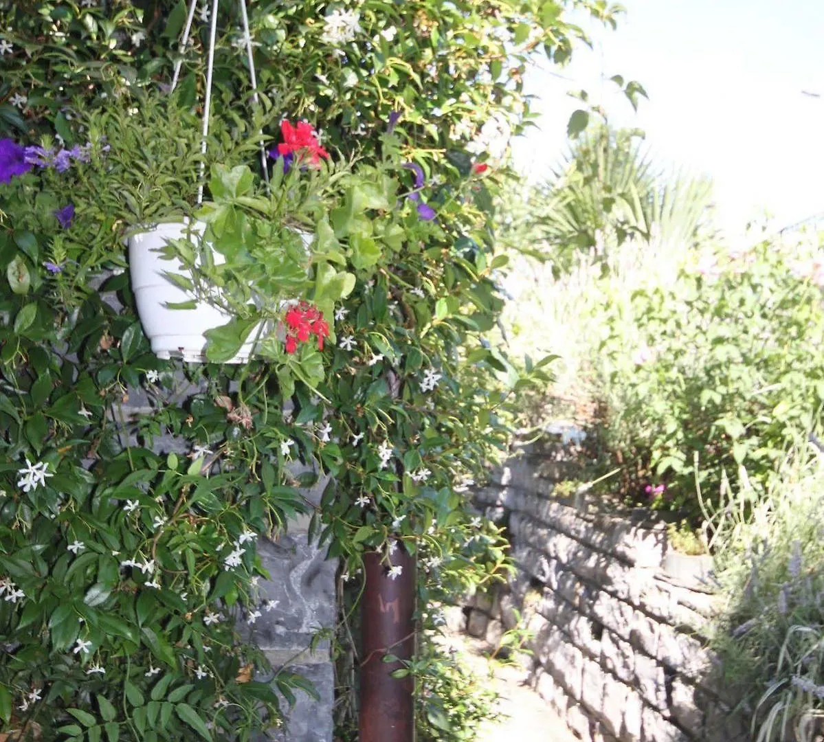 Balcone Fiorito Bed & Breakfast Menaggio