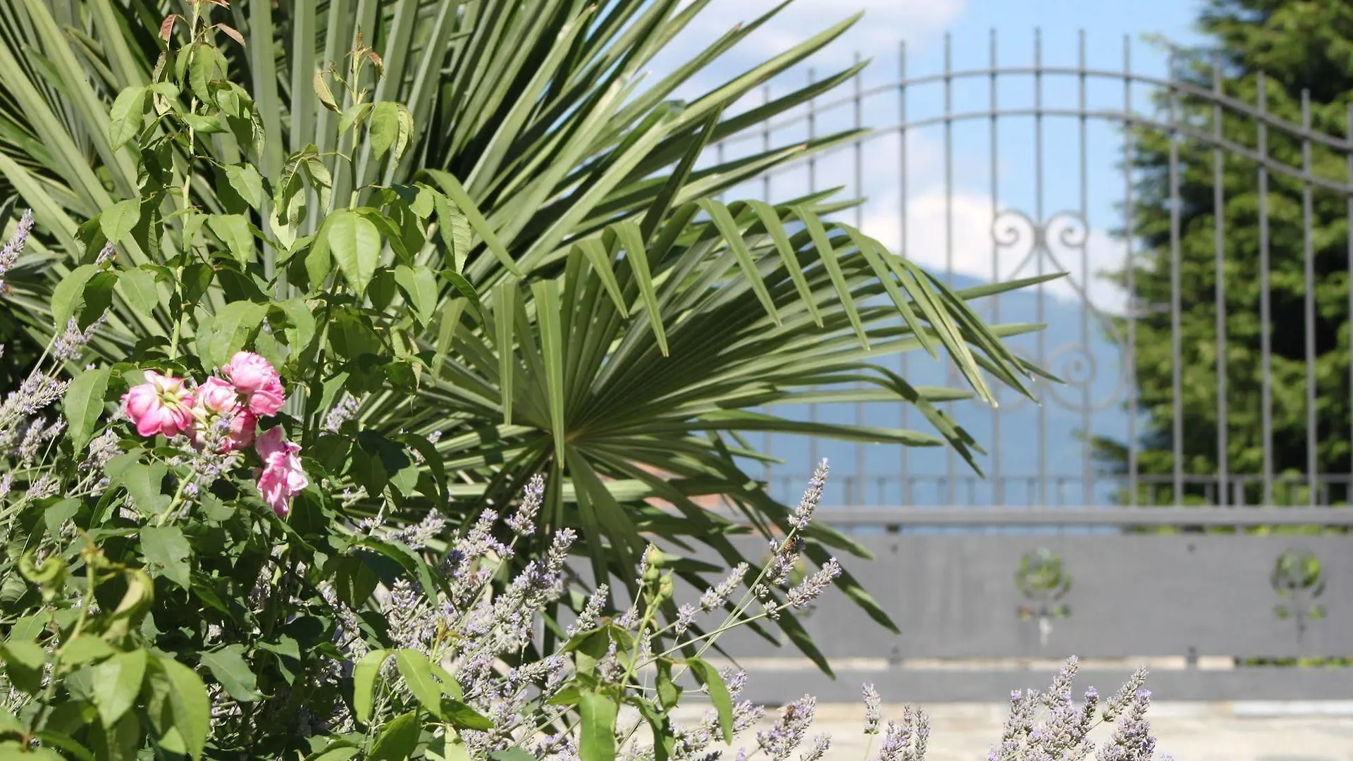 Balcone Fiorito Bed & Breakfast Menaggio