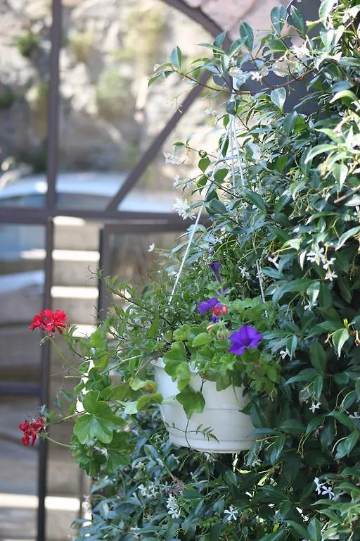 Balcone Fiorito Bed & Breakfast Menaggio